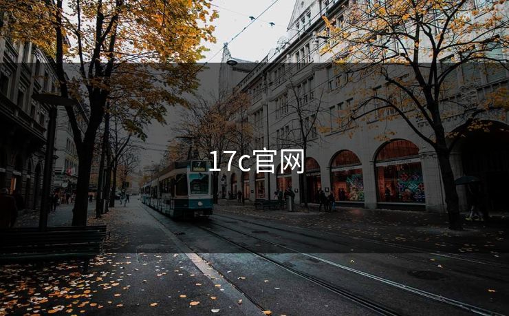17c官网